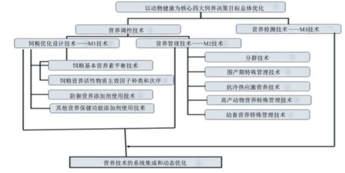 动物营养学科发展在战略方向重大突破 构建动物健康营养理论和技术体系及实际应用